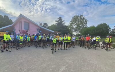 BRM 600 à CASTANET-TOLOLOSAN