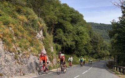 Grand Tétras d’Occitanie